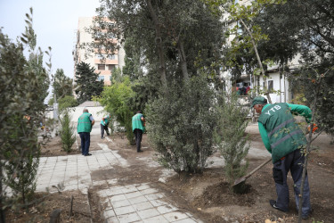 Nizami rayonunda ətraf mühitin yaxşılaşdırılması xüsusi diqqət mərkəzindədir