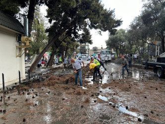 Nizami rayonunda ətraf mühitin yaxşılaşdırılması xüsusi diqqət mərkəzindədir