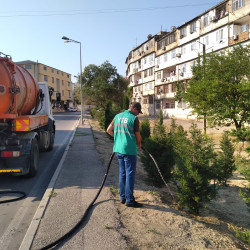 Nizami rayonunda növbəti ümumrayon iməciliyi keçirilib