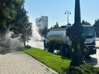 Nizami rayonunda yaşıllıqlara qulluq və abadlıq işləri davam etdirilir