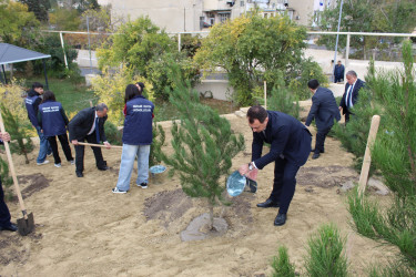 Nizami rayonunda 8 Noyabr - Zəfər Günü ərəfəsində ağacəkmə aksiyası keçirilib