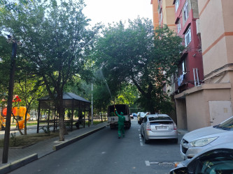 Nizami rayonunda yaşıllıqların qorunması məqsədilə dezinfeksiya işləri davam etdirilir