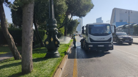Nizami rayonunda yaşıllıqlara qulluq və abadlıq işləri davam etdirilir