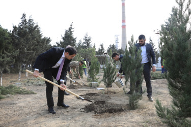 Nizami rayonunda 8 Noyabr – Zəfər Günü münasibətilə ağacəkmə aksiyası keçirilib