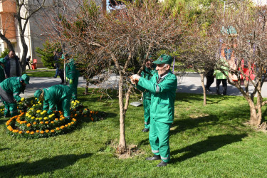 Nizami rayonunda növbəti iməcilik keçirilib