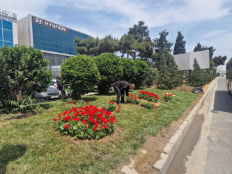 Nizami rayonunda abadlıq işləri davam etdirilir
