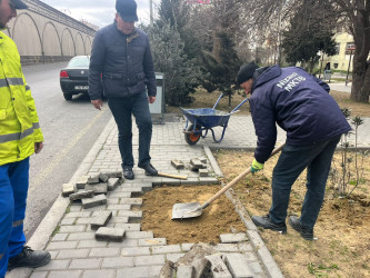 Nizami rayonunda Novruz bayramı ərəfəsində geniş təmizlik işləri aparılıb