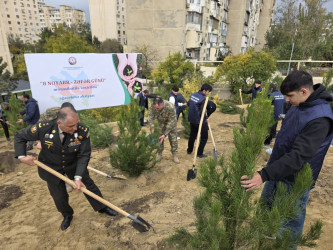 Nizami rayonunda 8 Noyabr - Zəfər Günü ərəfəsində ağacəkmə aksiyası keçirilib