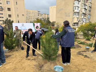 Nizami rayonunda 8 Noyabr - Zəfər Günü ərəfəsində ağacəkmə aksiyası keçirilib