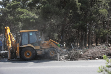 Nizami rayonunda növbəti ümumrayon iməciliyi keçirilib