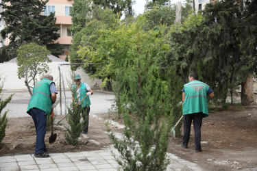 Nizami rayonunda ətraf mühitin yaxşılaşdırılması xüsusi diqqət mərkəzindədir