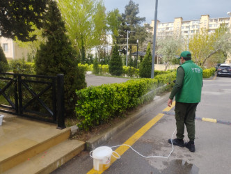 Nizami rayonunda yaşıllıqlara aqrotexniki qulluq və abadlıq işləri geniş vüsət alıb