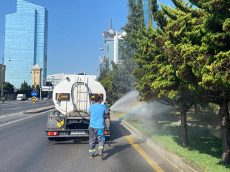 Nizami rayonunda yaşıllıqlara qulluq və abadlıq işləri davam etdirilir