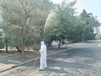 Nizami rayonunda yaşıllıqların qorunması məqsədilə dezinfeksiya işləri davam etdirilir