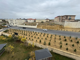 Nizami rayonunda 8 Noyabr - Zəfər Günü ərəfəsində ağacəkmə aksiyası keçirilib