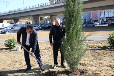 Heydər Əliyev  prospekti 102 ünvanında və Babək prospekti ilə Mikayıl Əliyev küçəsinin kəsişməsində növbəti ağacəkmə aksiyası təşkil edilib