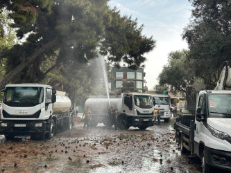 Nizami rayonunda ətraf mühitin yaxşılaşdırılması xüsusi diqqət mərkəzindədir