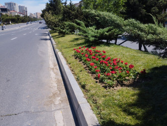 Nizami rayonunda ətraf mühitin yaxşılaşdırılması xüsusi diqqət mərkəzindədir