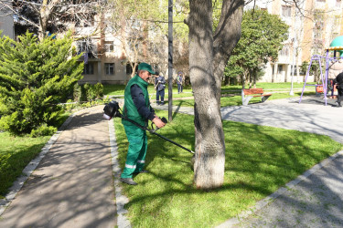 Nizami rayonunda növbəti iməcilik keçirilib