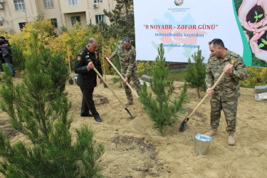 Nizami rayonunda 8 Noyabr - Zəfər Günü ərəfəsində ağacəkmə aksiyası keçirilib