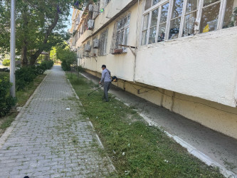 Nizami rayonu ərazisində növbəti iməcilik təşkil edilib