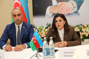 Nizami rayonunda Azərbaycan Respublikasının Konstitusiyasının qəbulunun 30 illiyi münasibətilə tədbir keçirilib