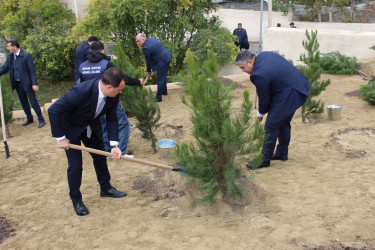 Nizami rayonunda 8 Noyabr - Zəfər Günü ərəfəsində ağacəkmə aksiyası keçirilib