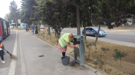 Nizami rayonu ərazisində təmizlik işləri aparılıb