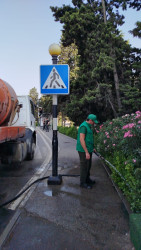 Nizami rayonunda yaşıllıqlara qulluq və abadlıq işləri davam etdirilir