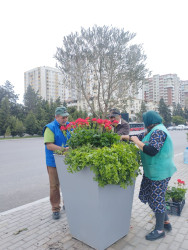 Nizami rayonunda abadlıq işləri davam etdirilir