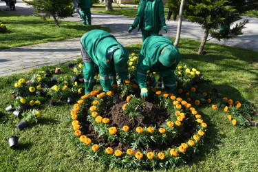 Nizami rayonunda növbəti iməcilik keçirilib