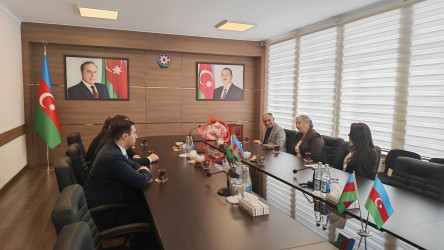Vətən müharibəsi şəhidi Elçin Həsənlinin anası Xatirə xanım 55 illik yubileyi münasibətilə təbrik edilib
