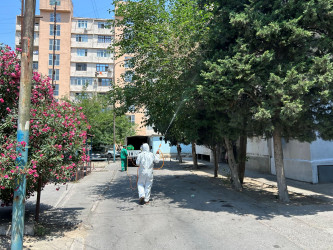 Nizami rayonunda yaşıllıqların qorunması məqsədilə dezinfeksiya işləri davam etdirilir