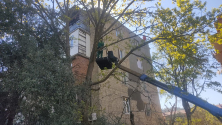 Nizami rayonunda abadlıq və sanitar-təmizlik işləri davam edir