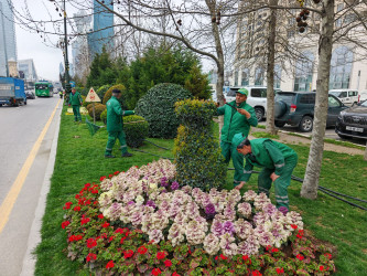 Nizami rayonunda güclü yağan yağışın fəsadlarının aradan qaldırılması ilə əlaqədar ümumrayon iməciliyi keçirilib - 30.03.2026