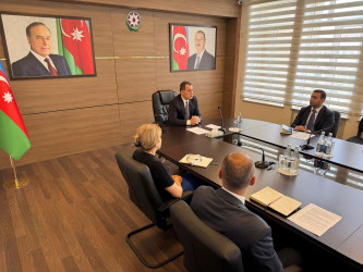 Nizami Rayon İcra Hakimiyyətində müşavirə - 11.05.2025