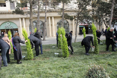 R.Rüstəmov küçəsi 72a ünvanında yeni park sakinlərin istifadəsinə verilib  - 23.12.2025