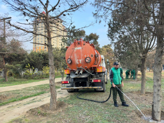 Nizami rayonunda yaşıllıqlara qulluq davam etdirilir - 01.12.2025