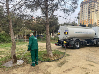 Nizami rayonunda yaşıllıqlara qulluq davam etdirilir - 01.12.2025