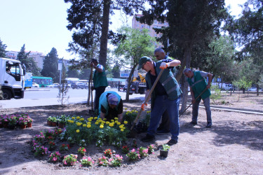 Nizami rayonunda küçə və prospektlər yuyulub, təmizlik işləri aparılıb - 12.07.2025