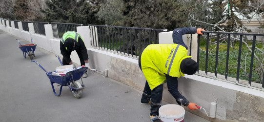 Nizami rayonunda Novruz bayramı ərəfəsində geniş təmizlik işləri aparılıb - 14.03.2026