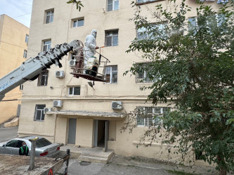 Nizami rayonunda zərərvericiklərə qarşı ağacların dərmanlanması işləri davam etdirilir - 23.10.2025