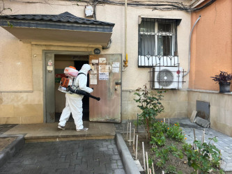 Nizami rayonunda abadlıq və sanitar-təmizlik işləri davam edir