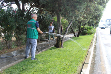 Ümumrayon iməciliyi - 09.08.2025