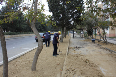 Nizami rayonunda səkilər təmir edilir - 14.11.2025