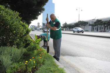 Ümumrayon iməciliyi - 09.08.2025