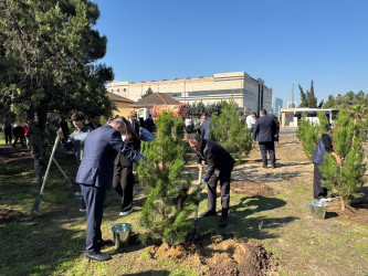 27 Sentyabr – Anım Günü ilə əlaqədar Nizami rayonunda ağacəkmə aksiyası keçirilib - 26.09.2025