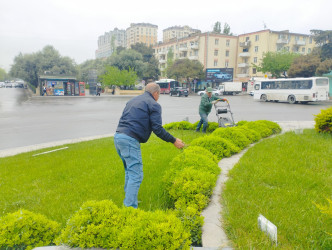 Nizami rayonunda təmir-bərpa və abadlıq işləri davam etdirilir - 15.05.2025