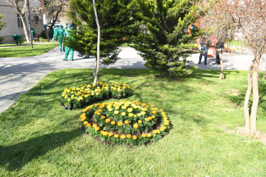 Nizami rayonunda növbəti iməcilik keçirilib - 18.04.2026