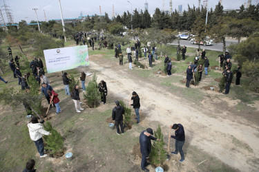 Nizami rayonunda “Şəhərsalma və Memarlıq İli” çərçivəsində ağacəkmə aksiyası keçirilib - 07.03.2026